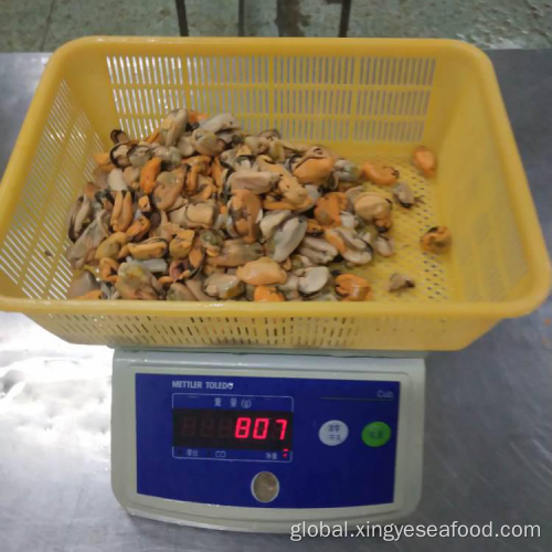 Deep Sea Mussels Frozen Boiled Mussel Meat Supplier